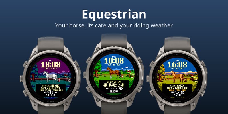Equestrian